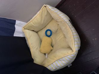 Dog bed.