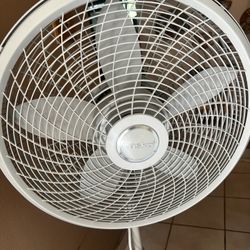 Lasko Cyclone Fan 
