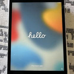 iPad Mini 4 128gb