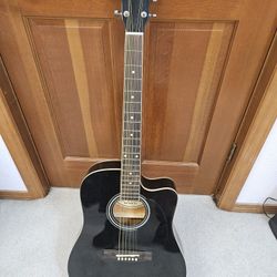 RW Jameson Acoustic/Electric Guitar 