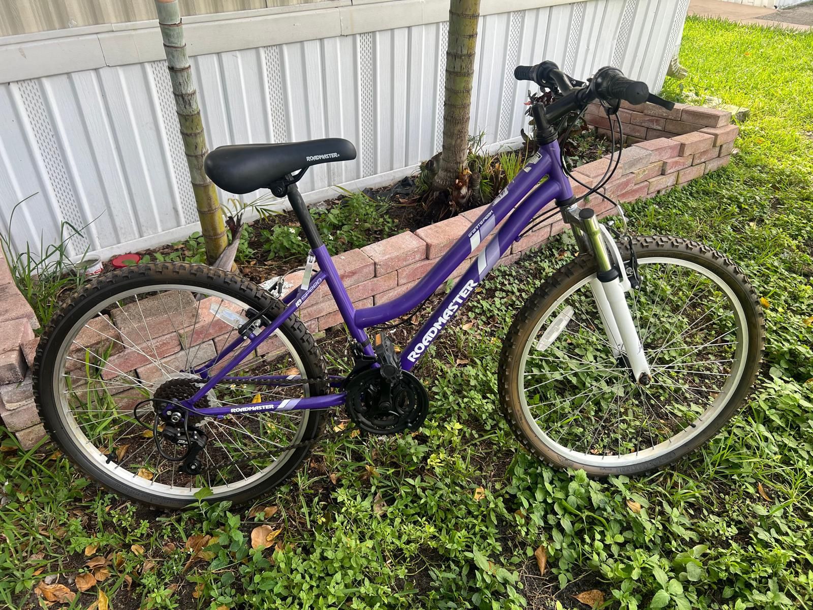 Roadmaster Girls Bike