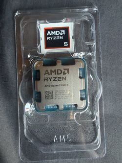 AMD Ryzen 5 9600X Processor