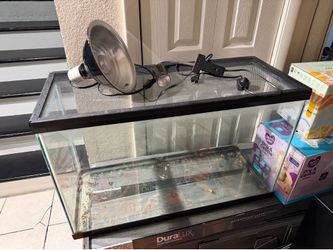 reptile tank with heat lamp and uv lamp