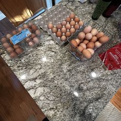 Farm Fresh Eggs Natural Dozen 