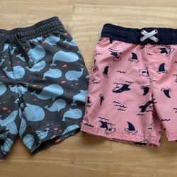 BOYS summer clothes lot size 3 shirts shorts swim 