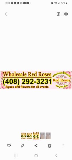 Rosas For Sale