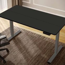 FlexiSpot Standing Desk 55x28