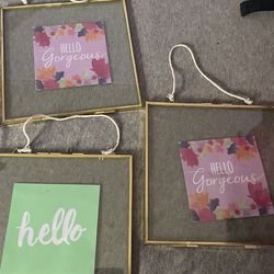3 Gold Hanging Frames