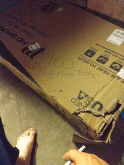Pro Ping Pong Table