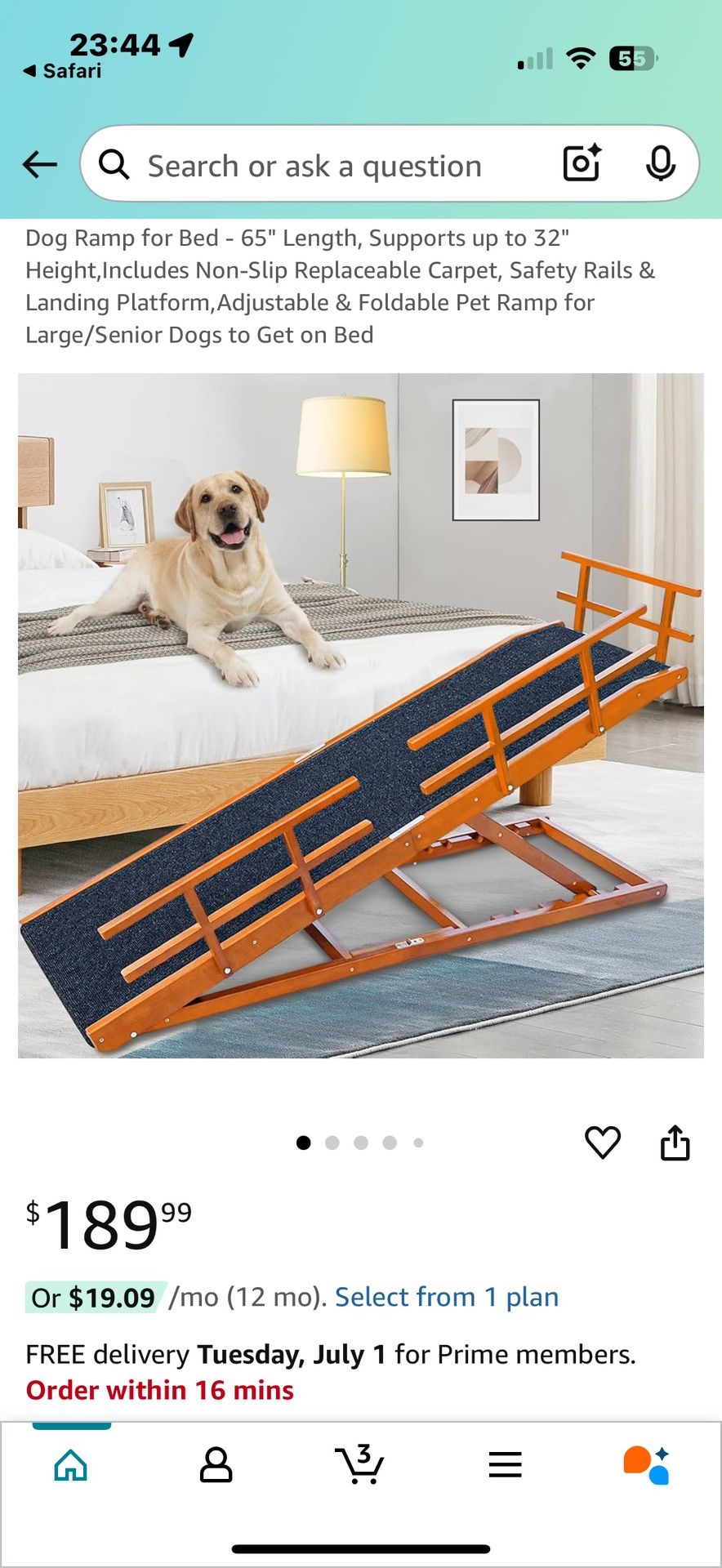Dog Ramp
