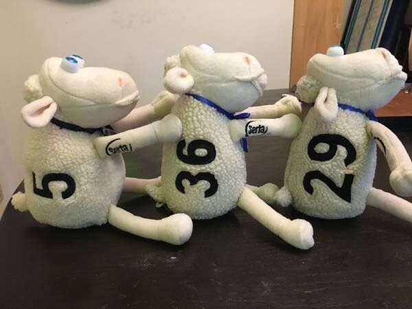 Serta Counting Sheep Plush #55 Speed Limit Collectable New w/Tag