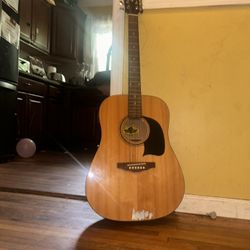 Acoustic Guitar 
