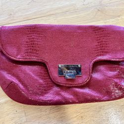Sofia Vergara Clutch