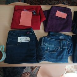 Women's Bottoms Lot , Business Casual Pants