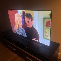 48' Oled Tv with stand 
