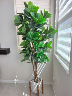 Large Artificial Fiddle Leaf Fig Tree 6Ft