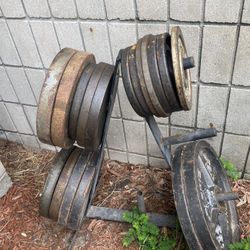 Olympic Weight Plate With Weight Tree