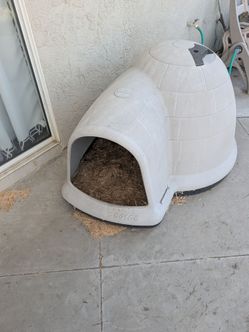 Gas BBQ and Dog House, and Doll House