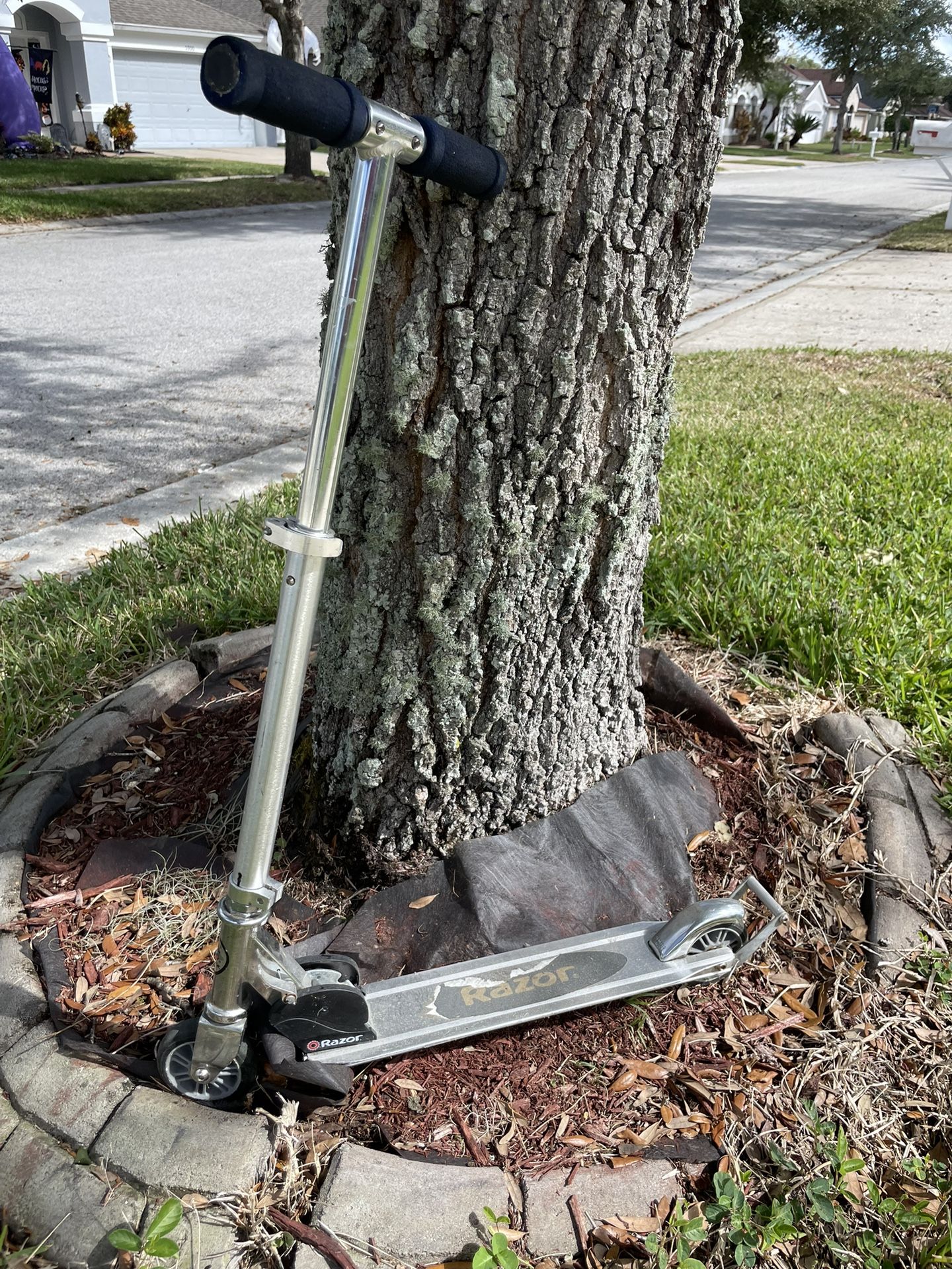 Razor Scooter
