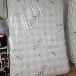 Bed Mattres