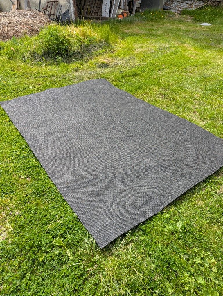 Indoor/Outdoor Rugs