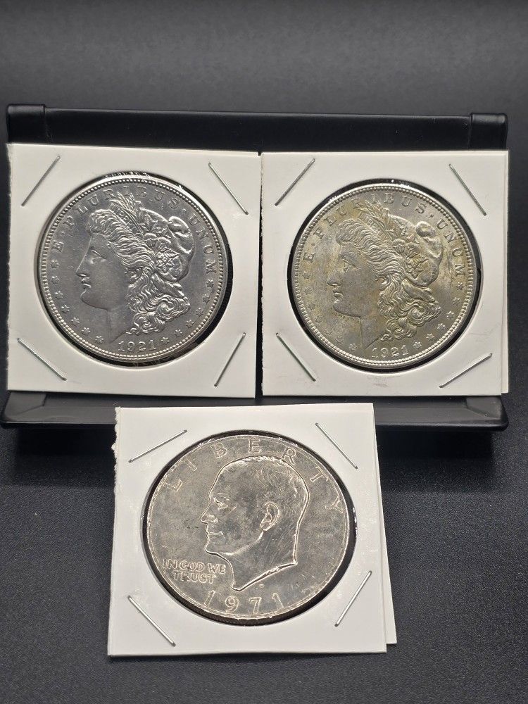Morgan Silver Dollar Lot