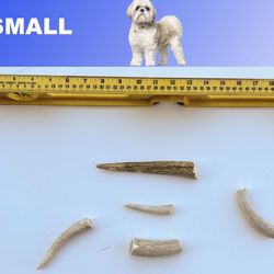 Elk Antler Dog Chews - Multiple Sizes 
