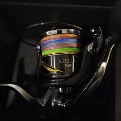 Shimano Stella 2025 14k 