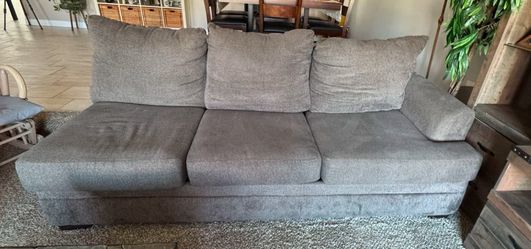 Pet Free Sectional 