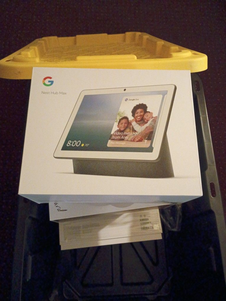 Google Hub Max