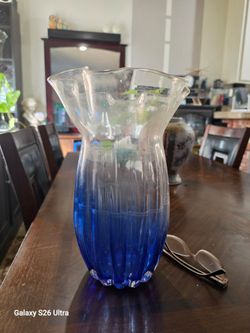 Large flower / plant  glass vase