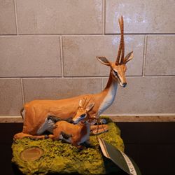 Grant's Gazelle (Gazella Granti)