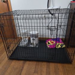 Dog Crate