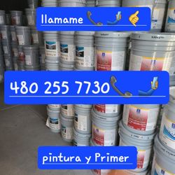Paint For Sale