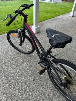 Infinity Crazyhorse  HT24 Youth 24 Mountain Bike
