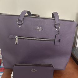 Coach Bag & Wallet