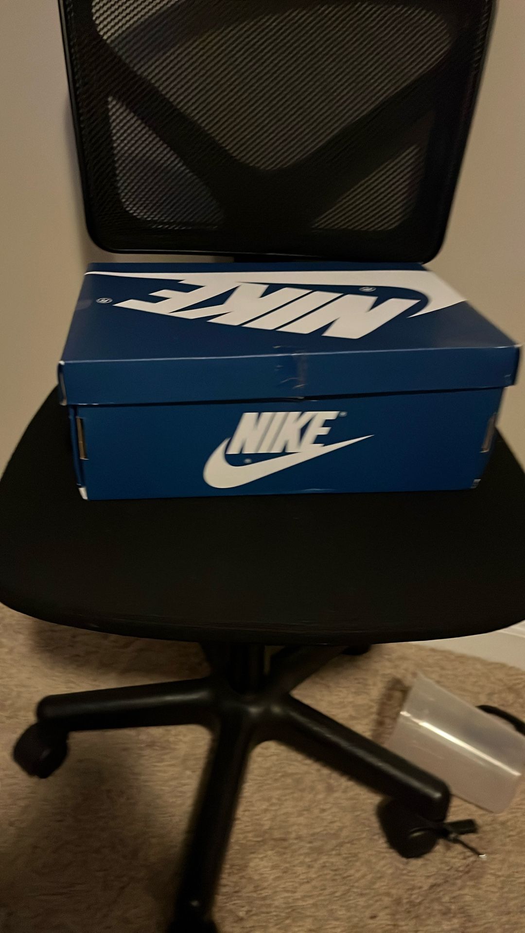 Never Worn Aj Jordan Retro High Oh Gs True Blue