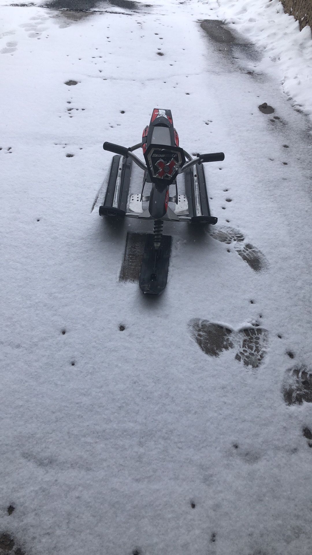 Ski bike