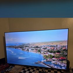 65 Inch Insignia TV