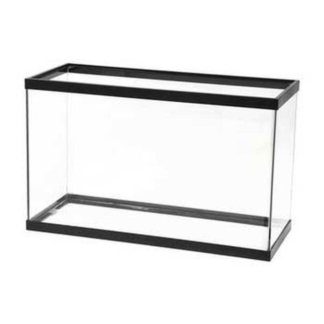 Fish Tanks And Supply For Sale 