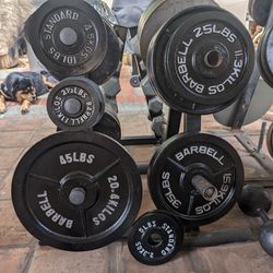245lb Olympic Weight Set 