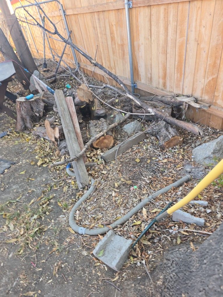 Pine tree firewood period mostly big pieces. I'd like for you to take all of it