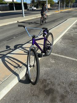 Throne 29er