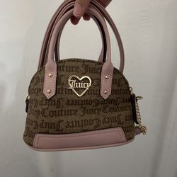 Small Juicy Bag Comes With Wallet