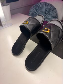 Coach Slides