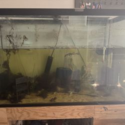 75 Gallon Fish Tank 