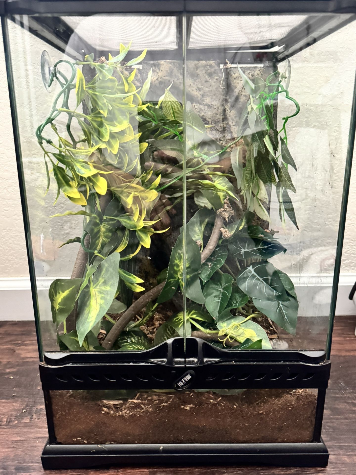 Exo Terra Enclosure
