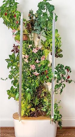 Gardyn 2.0 Indoor Hydroponic Garden + 30+ Seed Pods & Extras