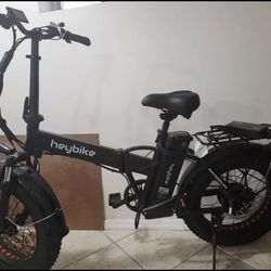 Electric Bicycle 