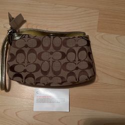Small Coach Purse 